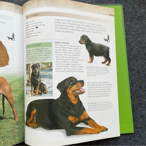 The Ultimate Guide to Dogs Hardcover - Picture 3 of 9
